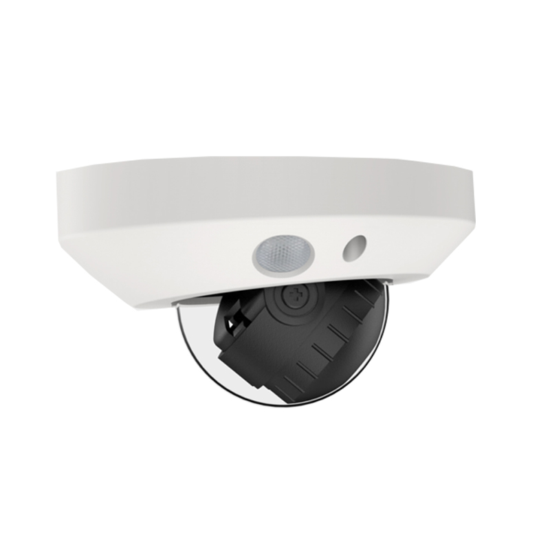 IP5PE Medallion 5MP Cortex IP Mini Vandal Dome Camera with 2.8 Wide Angle Lens, Built-in Microphone and Essential AI